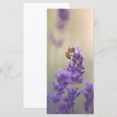 Lavender Flower Honeybee Carte photo de la nature (Devant / Derrière)