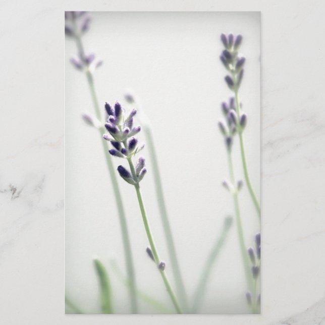 Lavender Flowers (Voorkant)