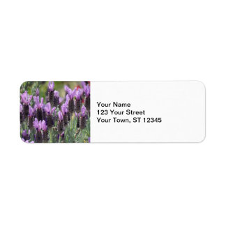 Lavender Flowers Etiket