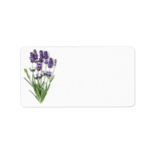 Lavender Flowers geïsoleerd op witte achtergrond Etiket