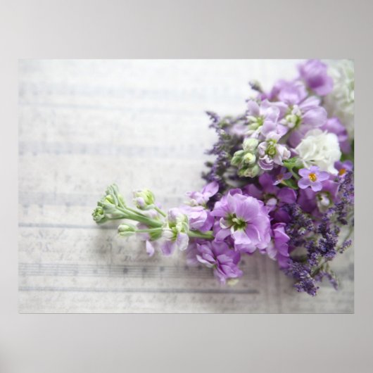 lavender-gekleurde bloemen op oud poster (Voorkant)