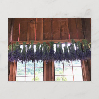 Lavender Hanging in een Barn Briefkaart