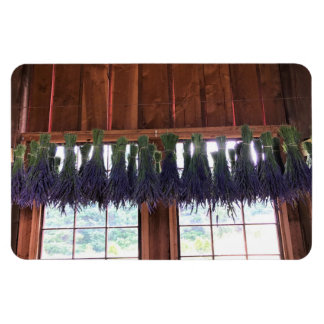 Lavender Hanging in een Barn Magneet