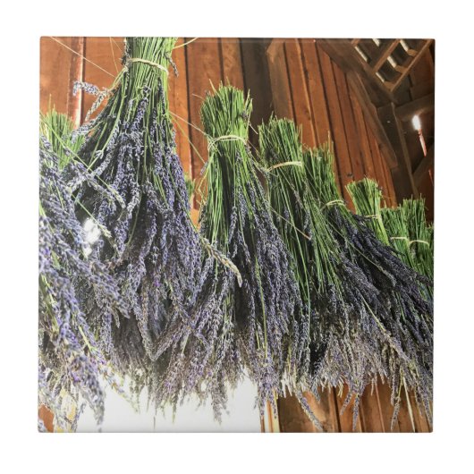 Lavender Hanging in een Barn Tegeltje (Voorkant)