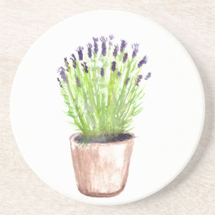 Lavender herb pot plant rustige eenvoudige florale zandsteen onderzetter