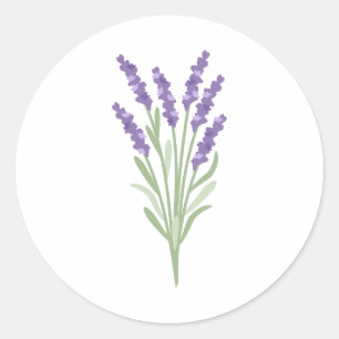 Lavender Herb Ronde Sticker