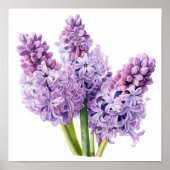 Lavender Hyacinth Flower Art Imprimer Poster (Devant)