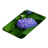 Lavender Hydrangea Magneet (Linkerzijde)