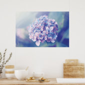 Lavender Hydrangea Poster (Keuken)
