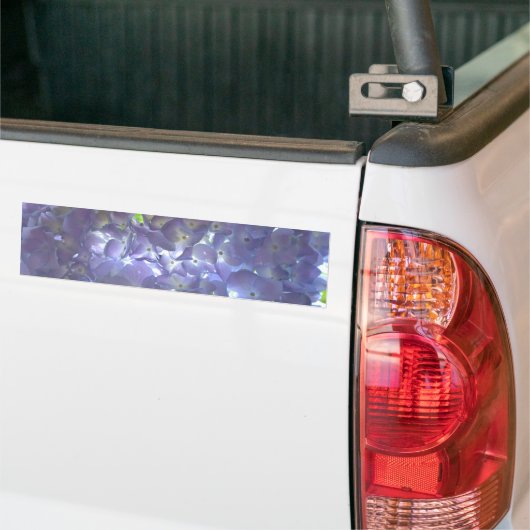 Lavender Hydrangeas Bumpersticker (Op Truck)
