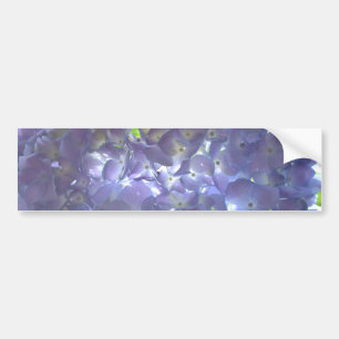 Lavender Hydrangeas Bumpersticker