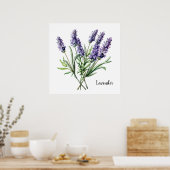 Lavender Illustration Botanical Poster (Keuken)