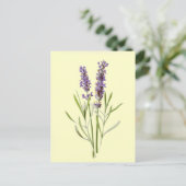 Lavender Illustration Vintage Briefkaart (Staand voorkant)