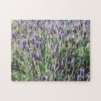 Lavender Legpuzzel