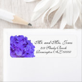 Lavender lila paars Hydrangeas Etiket (Insitu)