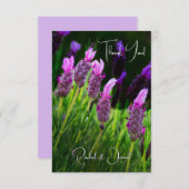 Lavender, Love & Devoding, Wedding Bedankkaart (Voorkant / Achterkant)