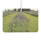 Lavender  luchtverfrisser (Achterkant)