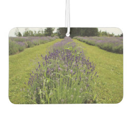 Lavender  luchtverfrisser