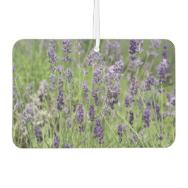 Lavender  luchtverfrisser