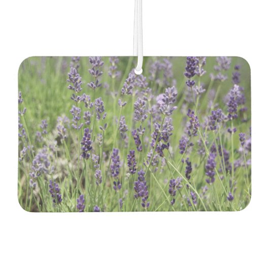 Lavender luchtverfrisser (Voorkant)
