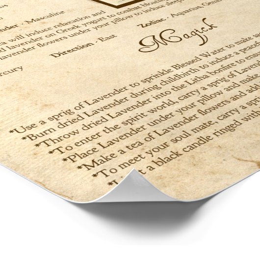 LAVENDER MAGICK HERB POSTER (Hoek)