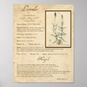 LAVENDER MAGICK HERB POSTER (Voorkant)