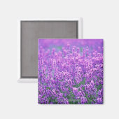 Lavender Magneet (Voorkant / Achterkant)