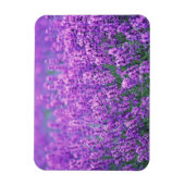 Lavender Magneet (Verticaal)