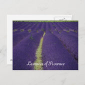 Lavender of Provence Briefkaart (Voorkant / Achterkant)