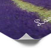 Lavender of Provence Poster (Hoek)