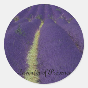 Lavender of Provence Ronde Sticker