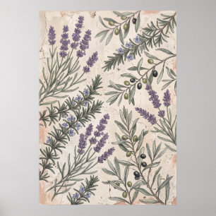Lavender Olijf Botanische Kunst Poster