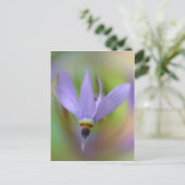 lavender Paars Wilde Vloer Briefkaart (Staand voorkant)