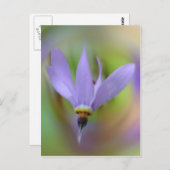 lavender Paars Wilde Vloer Briefkaart (Voorkant / Achterkant)