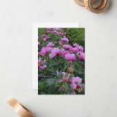 Lavender Peonies Notitiekaartje (Voorkant / Achterkant in situ)