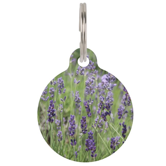 Lavender Pet Tag Huisdierpenning (Voorkant)