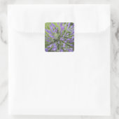 Lavender planten vierkante sticker (Tas)