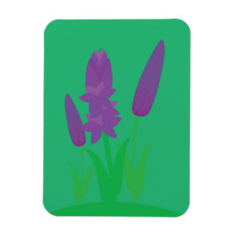 Lavender Plants Magneet