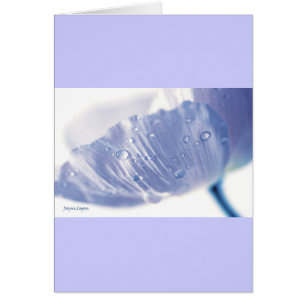 Lavender Poppy & Raindrops, sjabloon
