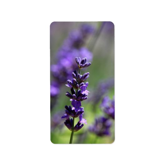 Lavender Portrait Etiket (Voorkant)