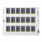 Lavender Portrait Etiket (Full Sheet)