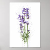 Lavender Poster (Voorkant)