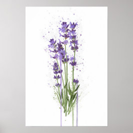 Lavender Poster