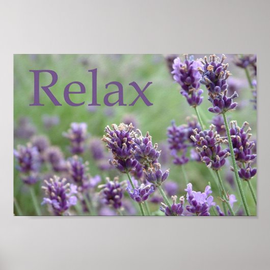 Lavender Poster (Voorkant)