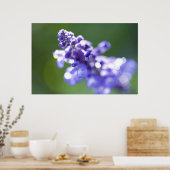 Lavender Poster (Keuken)