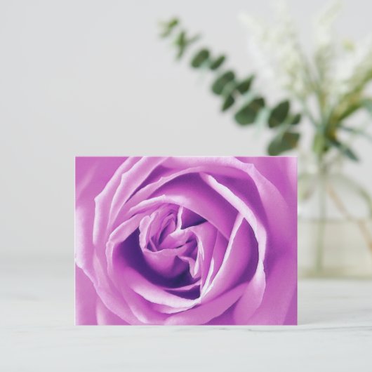 Lavender roos print briefkaart (Staand voorkant)