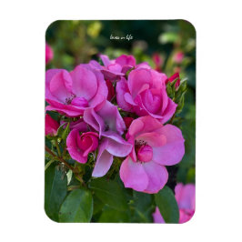 Lavender Roze Roos Magneet