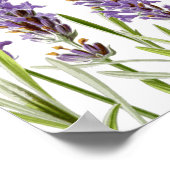 Lavender Seating Chart Poster (Hoek)