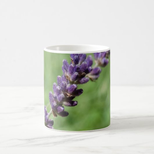 Lavender Stalk Photo Mug (Centre)
