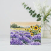 Lavender Sunflower Field Summer Provence Carte pos (Debout devant)